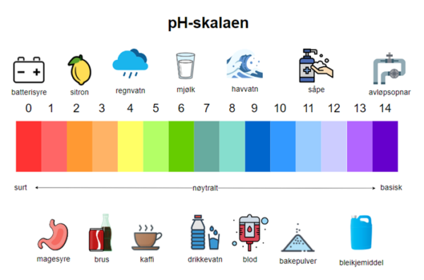 Hva Er PH-verdi? | Kompetansehuset Neo